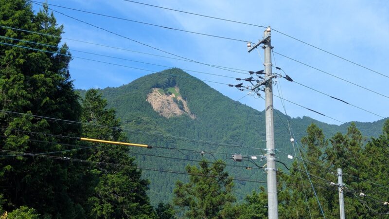 【徳島県発】戦後政策「拡大造林」が土砂流災害の元凶／旧木頭村・村長からの警告／森と水№8