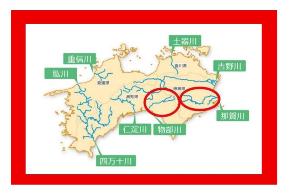 【高知県発】News Kochiのシリーズ「よみがえる物部川」／森林荒廃は各地で／森と水№10